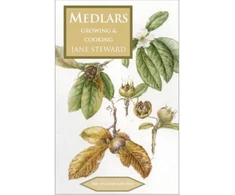KNYGA Jane Steward Medlars