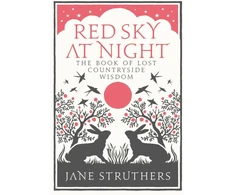 KNYGA Jane Struthers Raudona Sky at Night