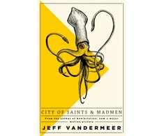 KNYGA Jeff Vandermeer City of Saints and Madmen