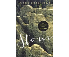KNYGA Jeffrey Jerome Cohen Stone
