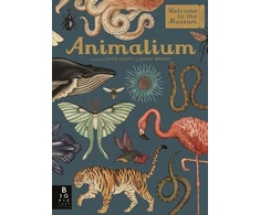 KNYGA Jenny Broom Animalium