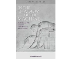 KNYGA Jeremy Naydler In The Shadow of the Machine