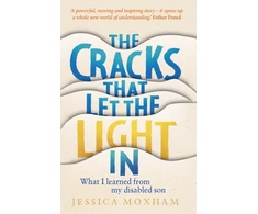 KNYGA Jessica Moxham Cracks that Let the Light In