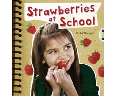 KNYGA Jill Mcdougall Bug Club Non-fiction Oranžinis A/1A Strawberries at School 6-pack
