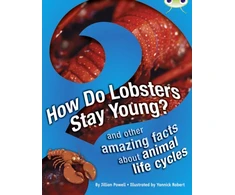 KNYGA Jillian Powell Bug Club Independent Non Fiction Year 3 Brown A How Do Lobsters Stay Young?