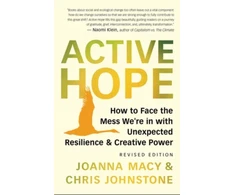 KNYGA Joanna Macy Joanna Active Hope Revised: How to Face the Mess We're in with Unexpected Resilience and Creative Power