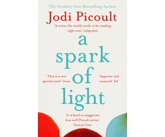 KNYGA Jodi Picoult Spark of Light