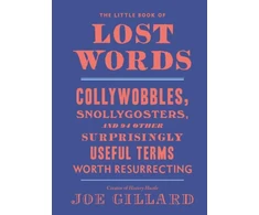 KNYGA Joe Gillard Little Book of Lost Words