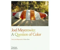 KNYGA Joel Meyerowitz: A Question of Color
