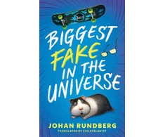KNYGA Johan Rundberg Biggest Fake in the Universe
