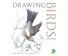KNYGA John Busby Drawing Birds