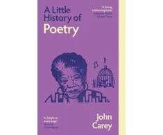 KNYGA John Carey Little History of Poetry