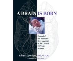 KNYGA John E Upledger Brain Is Born
