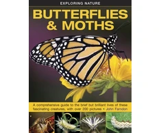 KNYGA John Farndon Exploring Nature: Butterflies &amp; Moths