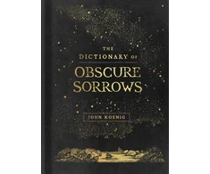 KNYGA John Koenig Dictionary of Obscure Sorrows
