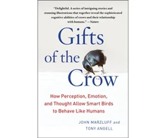 KNYGA John Marzluff Phd Gifts of the Crow