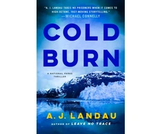 KNYGA Jon Land Cold Burn