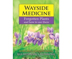 KNYGA Julie Bruton Seal Wayside Medicine, Forgotten Plants and how to use them