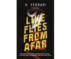 KNYGA K Ferrari Like Flies from Afar