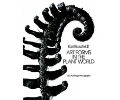 KNYGA Karl Blossfeldt Art Forms in the Plant World