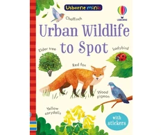 KNYGA Kate Nolan Urban Wildlife to Spot