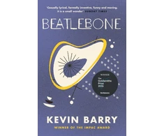 KNYGA Kevin Barry Beatlebone