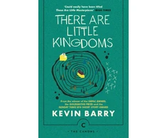 KNYGA Kevin Barry There Are Little Kingdoms
