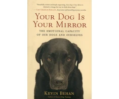 KNYGA Kevin Behan Your Dog Is Your Mirror
