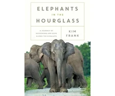 KNYGA Kim Frank Elephants in the Hourglass