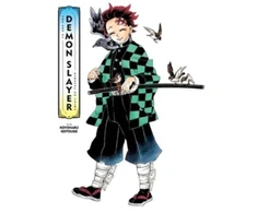 KNYGA Koyoharu Gotoge Art of Demon Slayer: Kimetsu no Yaiba