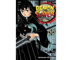 KNYGA Koyoharu Gotoge Demon Slayer: Kimetsu no Yaiba, Vol. 12