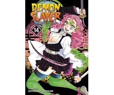 KNYGA Koyoharu Gotoge Demon Slayer: Kimetsu no Yaiba, Vol. 14