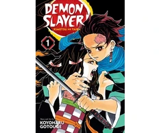 KNYGA Koyoharu Gotoge Demon Slayer: Kimetsu no Yaiba, Vol. 1
