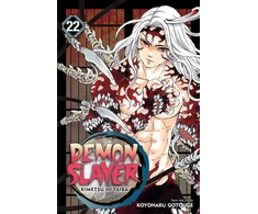 KNYGA Koyoharu Gotoge Demon Slayer: Kimetsu no Yaiba, Vol. 22