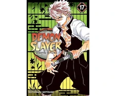 KNYGA Koyoharu Gotoge Demon Slayer: Kimetsu no Yaiba, Vol. 17