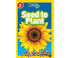 KNYGA Kristin Baird Rattini Seed to Plant