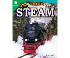 KNYGA Kristy Stark Powered by Steam