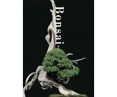 KNYGA Kunio Kobayashi Bonsai