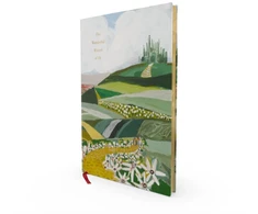 KNYGA L Frank Baum Wonderful Wizard of Oz (Painted Editions)