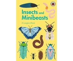 KNYGA Ladybird Book: Insects and Minibeasts