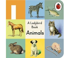 KNYGA Ladybird Buggy Book: Animals