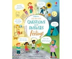 KNYGA Lara Bryan Lift-the-Flap Questions and Answers About Feelings