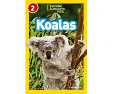 KNYGA Laura Marsh Koalas