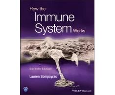 KNYGA Lauren M Sompayrac How the Immune System Works