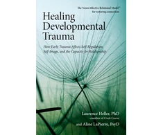 KNYGA Laurence Heller Developmental Trauma