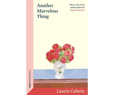 KNYGA Laurie Colwin Another Marvelous Thing