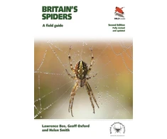 KNYGA Lawrence Bee Britain's Spiders