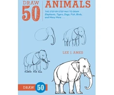 KNYGA Lee J Ames Draw 50 Animals