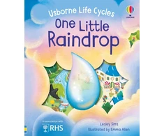 KNYGA Lesley Sims One Little Raindrop