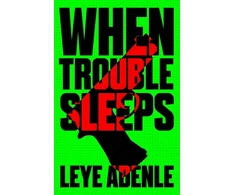 KNYGA Leye Adenle When Trouble Sleeps